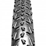 Dugast Rhino - Dugast's Most Versatile Tire? Dugast Rhino - Dugast's Most Versatile Tire? photo by CXM