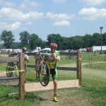 Barriers through a cow pen? Sure thing! Photo by Colleen Murphy