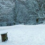 Sutton Park in the Snow. Photo courtesy British Cycling