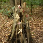 The trunk of a tree near Sanctuary Wood that was destroyed by an artillery shell during WWI © Dan Seaton The trunk of a tree near Sanctuary Wood that was destroyed by an artillery shell during WWI © Dan Seaton