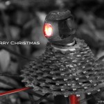Happy Holidays 2010 ©Steve Tam
