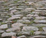 The Arenberg Forest cobbles, photo by ...
