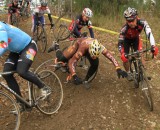 Carnage corner claims another victim © Janet Hill