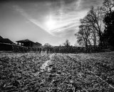 Riding SingleSpeed Cyclocross in Italy. © Claudio Angelini