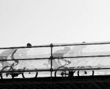 Riders manage the overpass during the 2010 Cyclocross World Championships in Tabor, Czech Republic.  ? Joe Sales