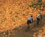 MFG Woodland Park © Janet Hill