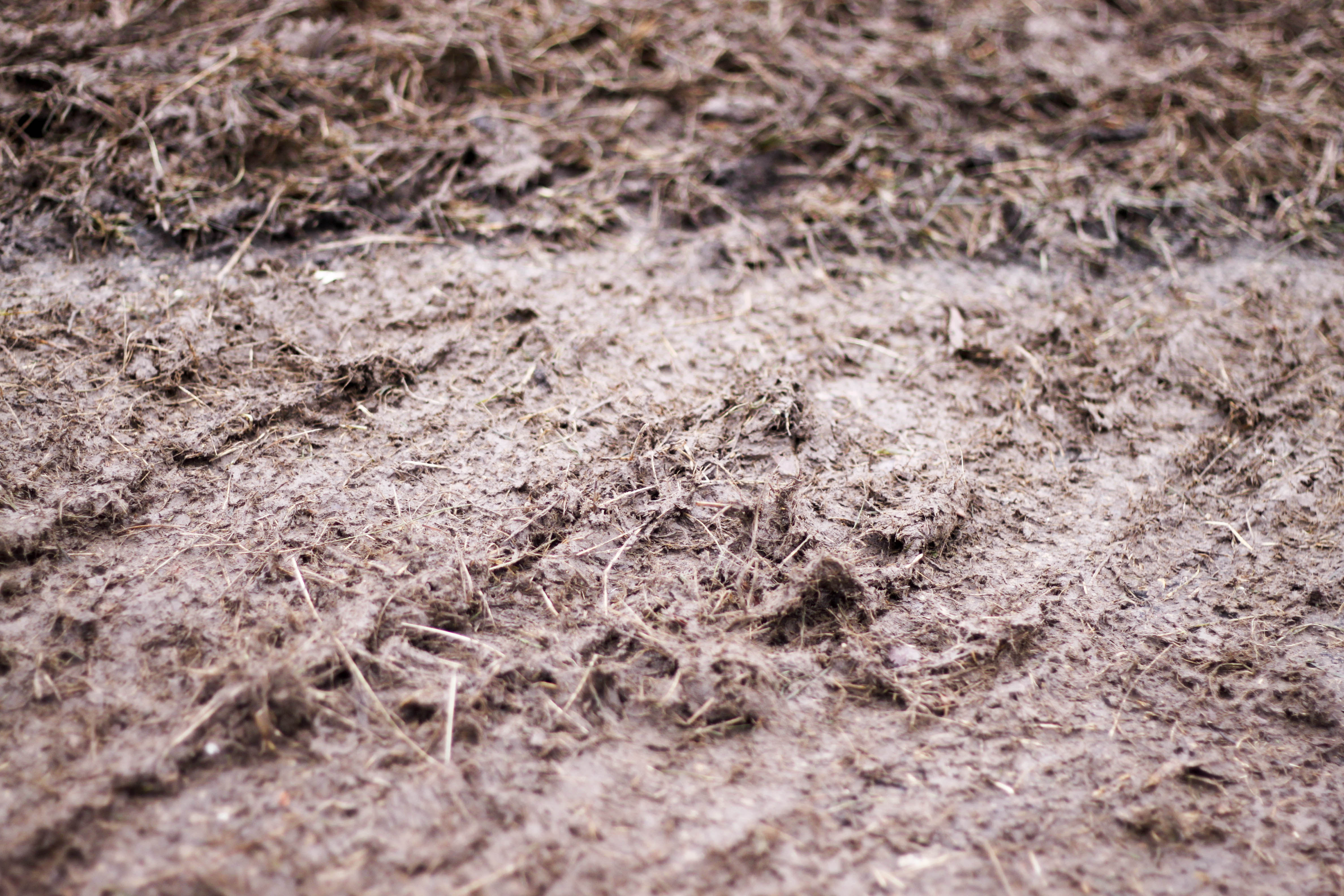 2012 Cyclocross National Championships, Masters Women 30-34. © Cyclocross Magazine