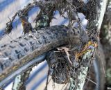 Bradford used Paul Componant Engineering's Touring Cantis and Tufo Flexus Cubus tubulars © Cyclocross Magazine