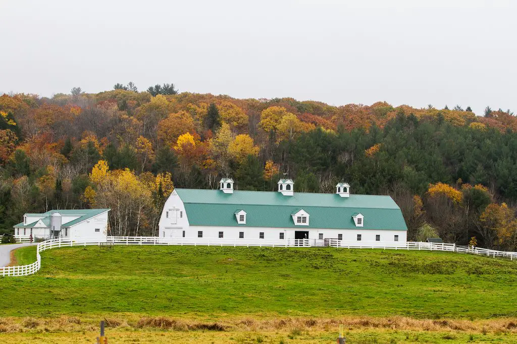 Pineland Farms in New Gloucester, Maine offered a scenic spot for a cyclocross race. © Todd Prekaski