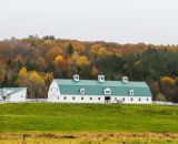 Pineland Farms in New Gloucester, Maine offered a scenic spot for a cyclocross race. © Todd Prekaski