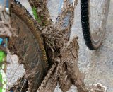 Mud carnage close-up © Dave Roth