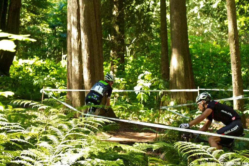 Trees helped create natural corners. © Joe Sales