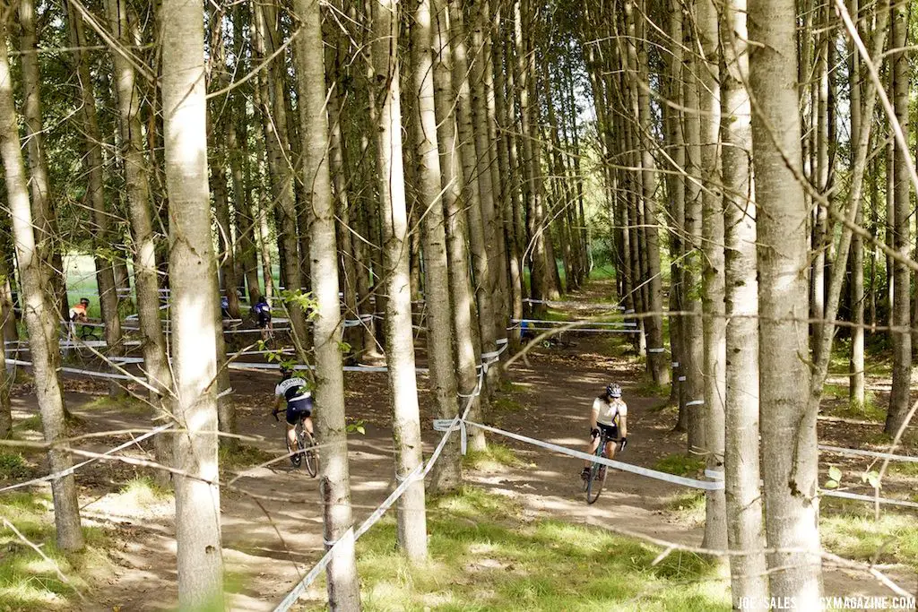 The woods looks like a giant maze thanks to the tape. © Joe Sales