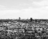 It got lonely on the hill at the 2013 Cyclocross National Championships. © Chris Schmidt