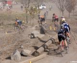 Rocks, logs and trees provided obstacles for the course. ©Pat Malach