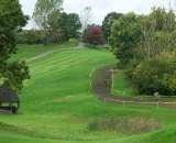 Cyclocross Stampede