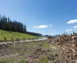 Montana has some unique landscapes. © Tom Robertson