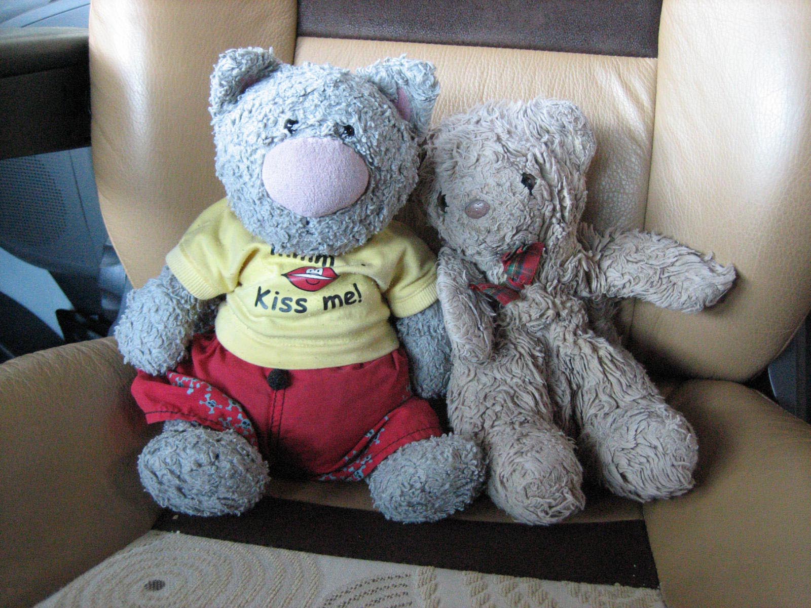 Wyman's teddy bears: Harry and Bonnie.