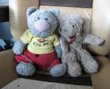 Wyman&#039;s teddy bears: Harry and Bonnie.