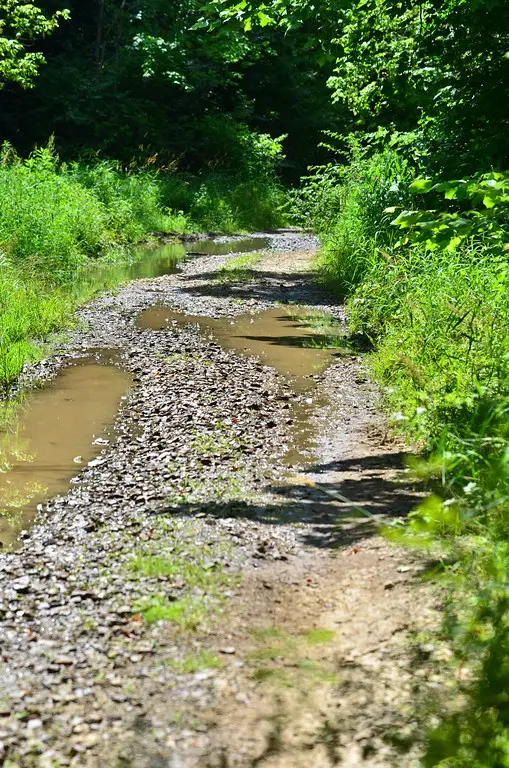 West Virginia is very loose on what their definition of a state road is. © Fred Jordan   