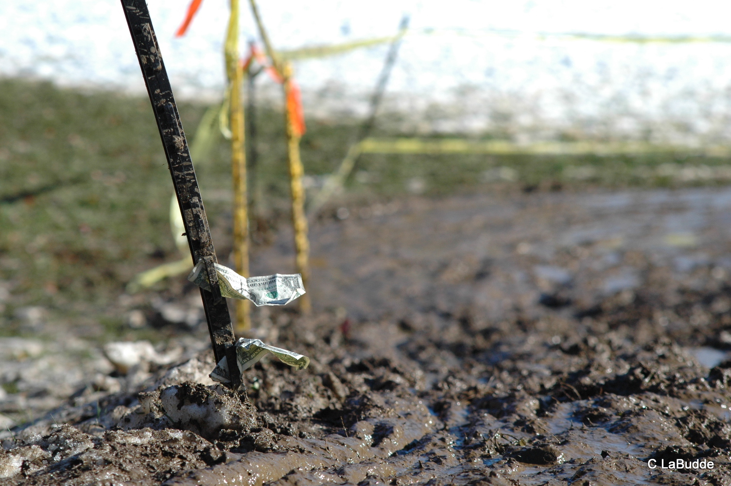 Dollar bills ripe for the picking at HPCX 2011 © Chris LaBudde   