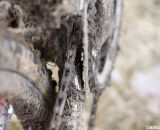 Adequate mud clearance on Jake Wells' Ridley X-Fire Disc cyclocross bike. © Cyclocross Magazine