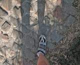 My foot on the koppenberg cobbles.  by Christine Vardaros