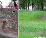 The hills of the Louisville USGP cyclocross course are almost completely submerged. © Mary and Nolan Boyd