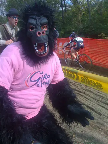 giro-gorilla.jpg