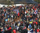 The crowds came out for day's racing. 