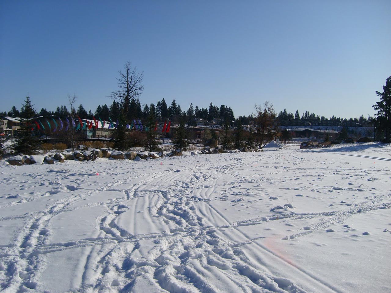 Looks more like cross-country skiing... ? David Baker