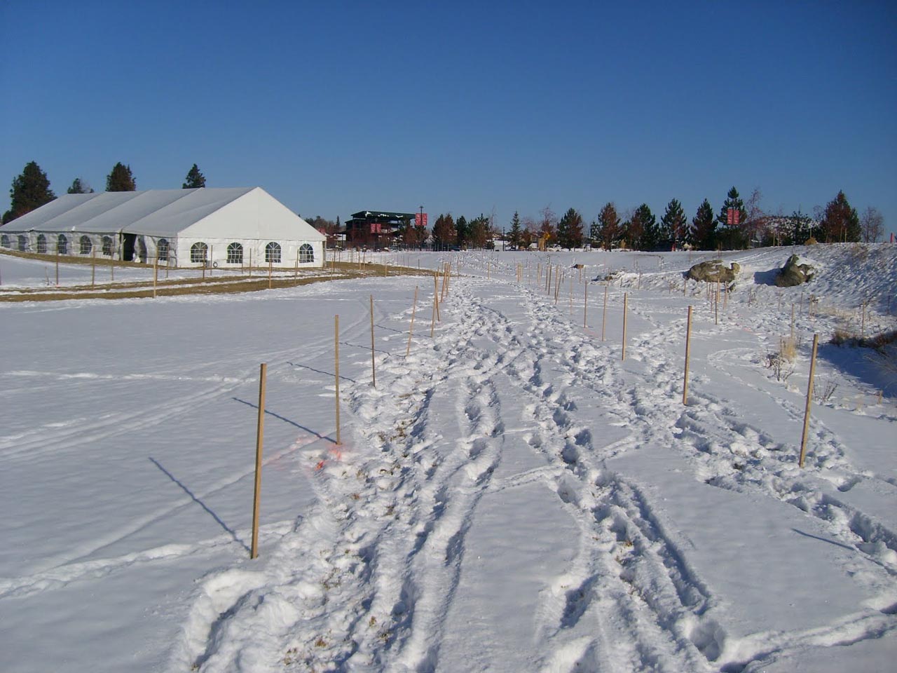 Straight towards the beer garden ? David Baker