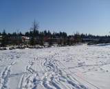 Looks more like cross-country skiing... ? David Baker