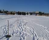 Straightaway and snow ? David Baker