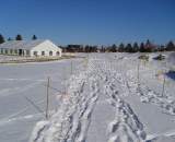 Straight towards the beer garden ? David Baker