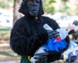 Shamrock Cycles racer James Foster nurses a baby in a gorilla costume. © Kent Baumgardt