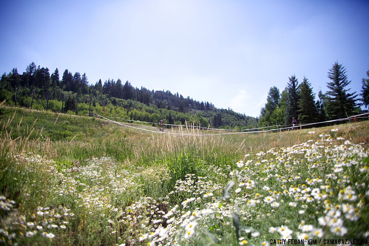 There\'s beauty in summer cyclocross. © Cathy Fegan-Kim