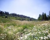 There's beauty in summer cyclocross. © Cathy Fegan-Kim