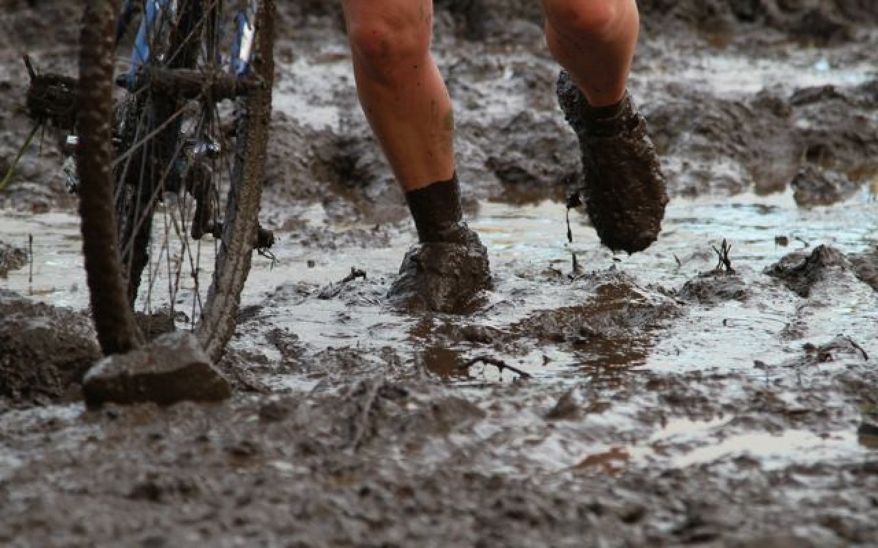 No Escaping the Mud at Maris Farms © Janet Hill