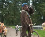 Gorilla beer stop © Karen Johanson