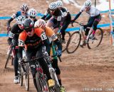 D1 Collegiate Men at the 2014 National Cyclocross Championships. © Steve Anderson