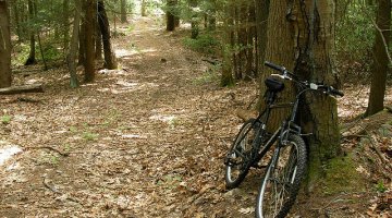 Sometimes, you need to ignore your training program and just have fun riding. Photo from flickr, courtesy of Jonf728