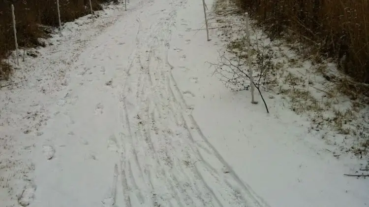 Kicker on the way to the top of the hill. Ted Burns