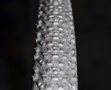 Hutchinson's new Mamba cyclocross tubular tire is designed for hard pack or ice, and replaces the Piranha tire. ©Cyclocross Magazine