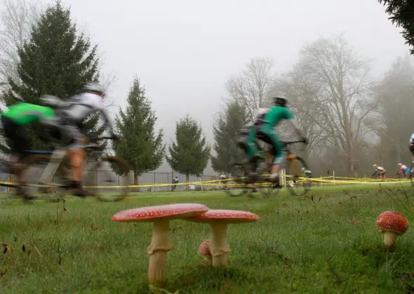 Mushrooms and fog greeted the racers for the final SCX race. © Janet Hill