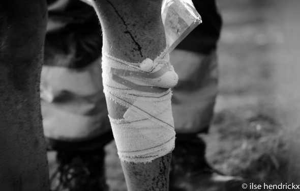 Scheldecross post-race leg wrap © Llse Hendrickx