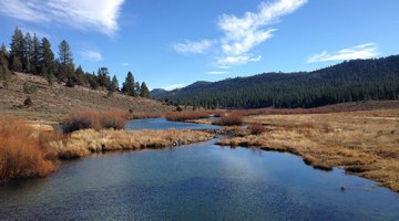 Plenty of scenic water near Lake Davis. photo: courtesy