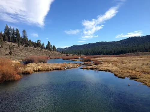 Plenty of scenic water near Lake Davis. photo: courtesy