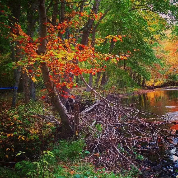 The natural beauty of the course isn’t hard on the eyes, either. © Riverpoint Cyclocross