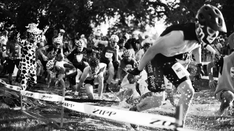 Madness from sscxwc14ky. © Andrew Packham